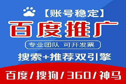搜索引擎营销（SEM）的精准投放技巧案例